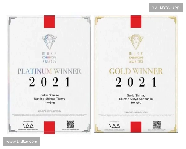 MUSE金奖获奖项目深入解析及其创新设计理念探讨